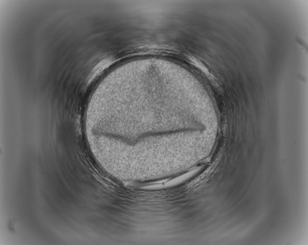 X0000096671259200803041214