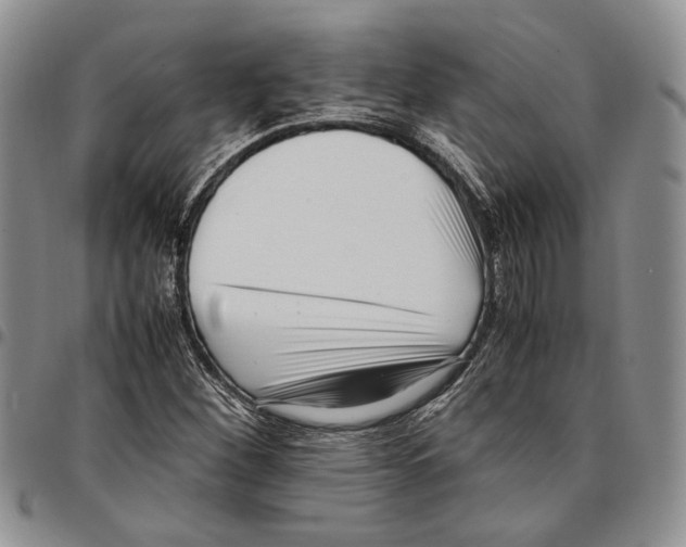 X0000096671260200803041214