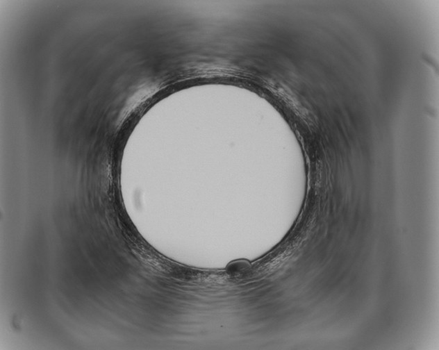 X0000096671261200803041214