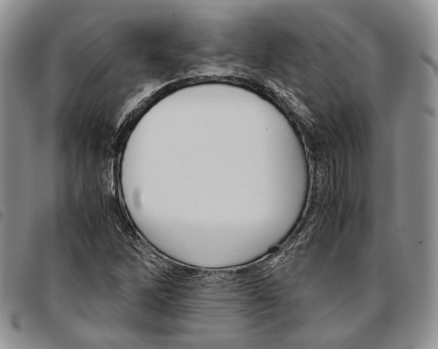 X0000096671262200803041214