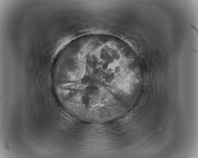X0000096671263200803041214