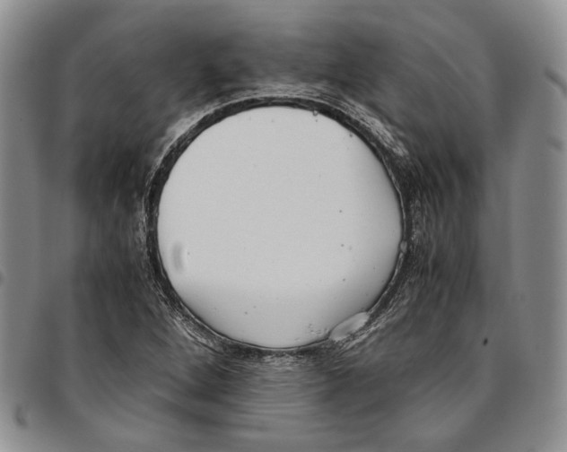 X0000096671264200803041214