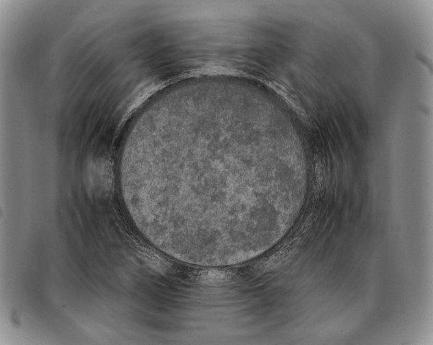 X0000096671266200803041214