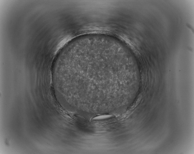X0000096671267200803041213