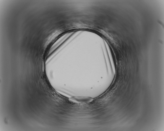 X0000096671269200803041213