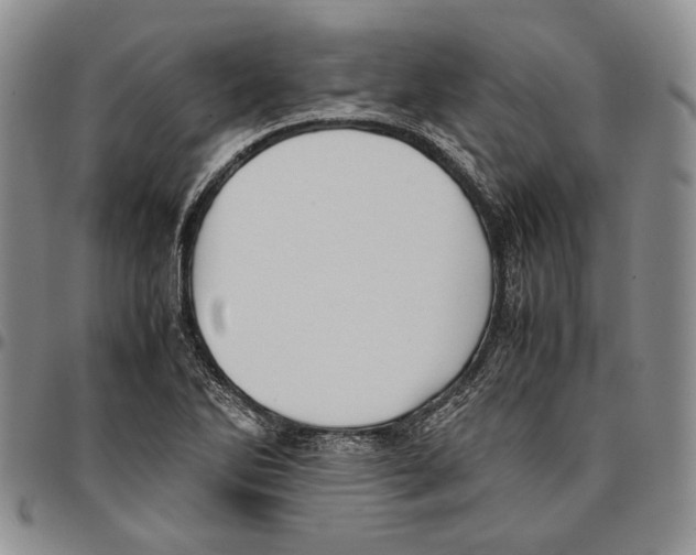 X0000096671270200803041213