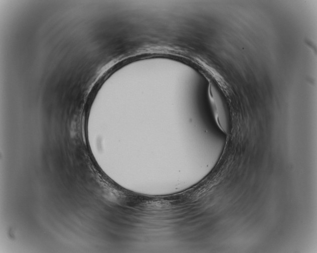 X0000096671272200803041213
