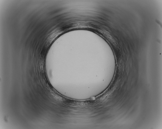X0000096671273200803041213