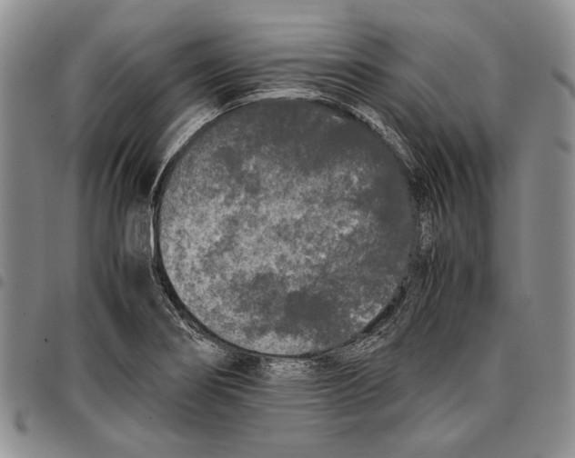X0000096671274200803041213
