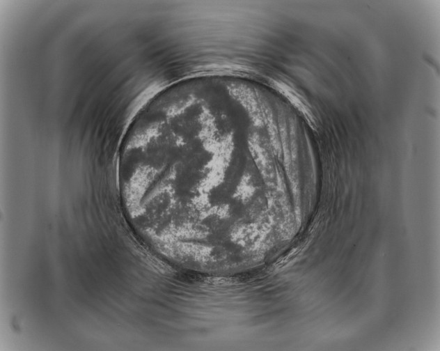 X0000096671275200803041213