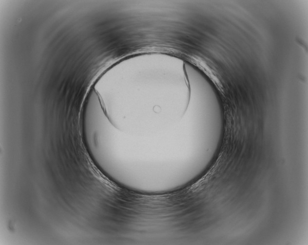 X0000096671276200803041213