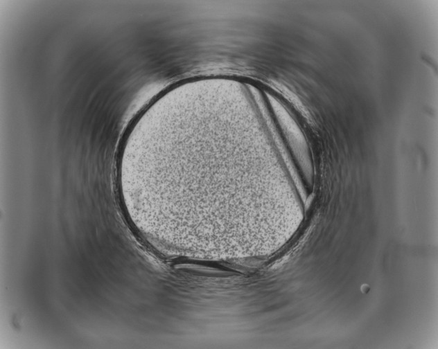 X0000096671277200803041213