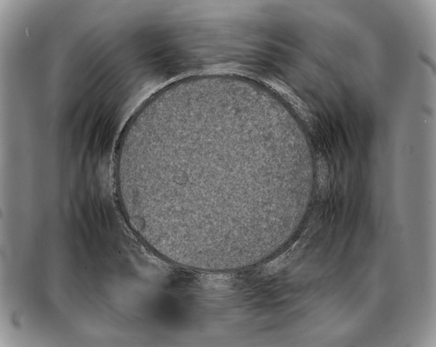 X0000096671278200803041213