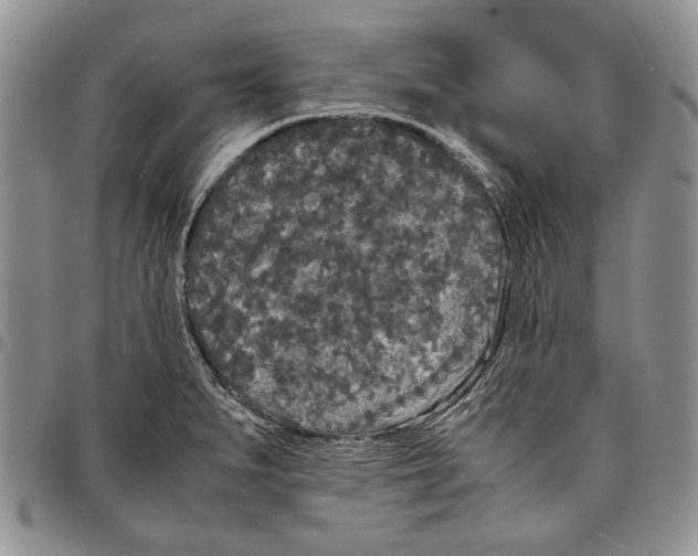 X0000096671279200803041213