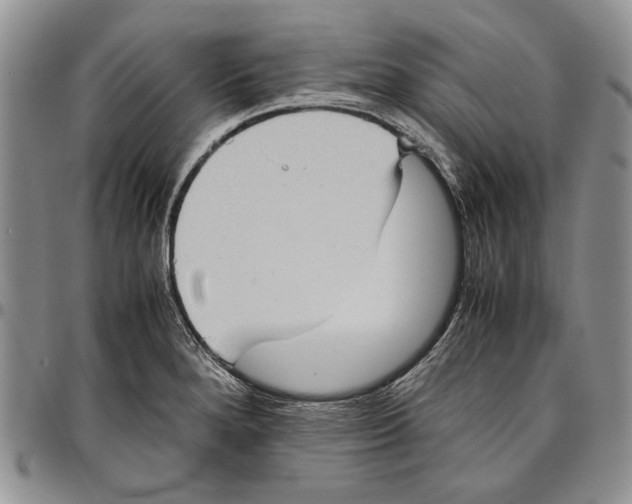 X0000096671280200803041213