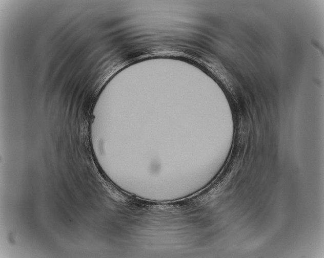 X0000096671281200803041213