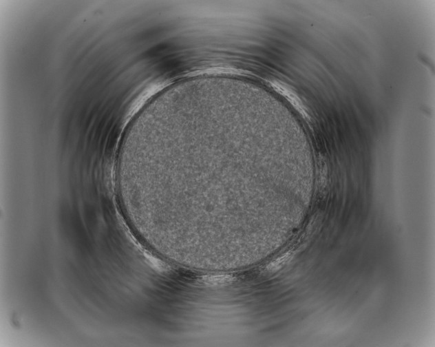 X0000096671282200803041213