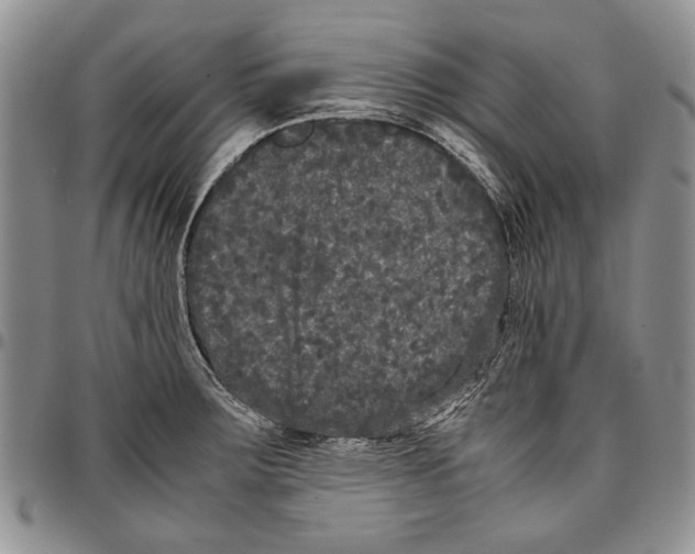 X0000096671283200803041213