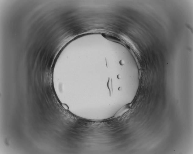 X0000096671284200803041213