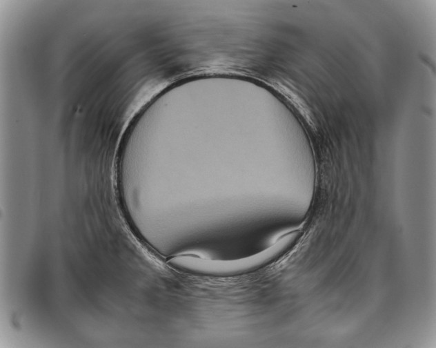 X0000096671285200803041213