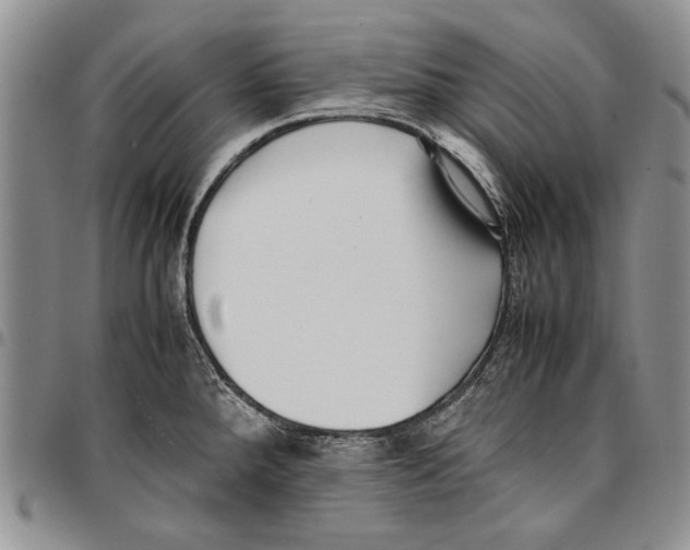 X0000096671288200803041213