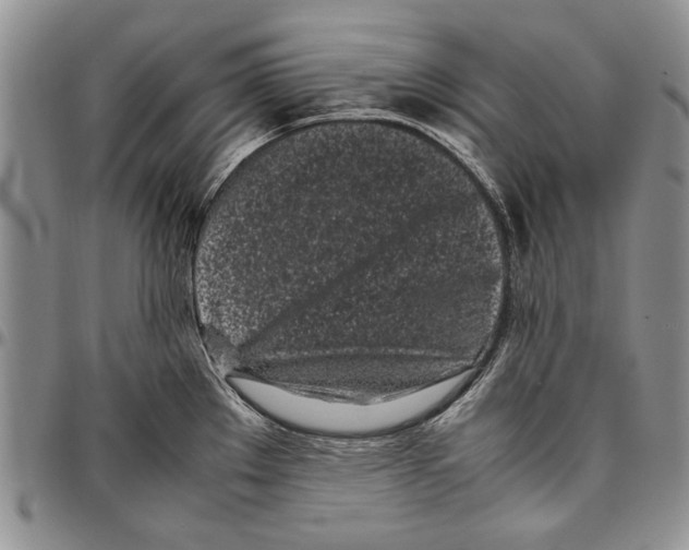 X0000096671289200803041213