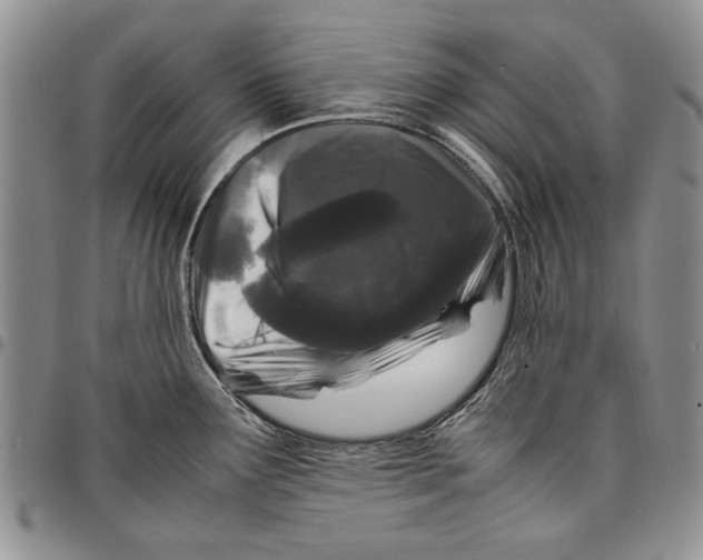 X0000096671291200803041213