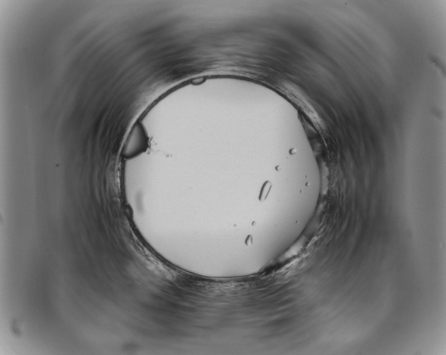 X0000096671292200803041213