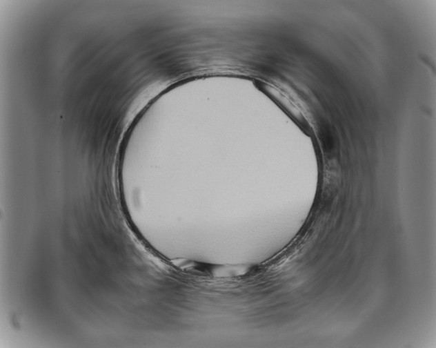 X0000096671293200803041213