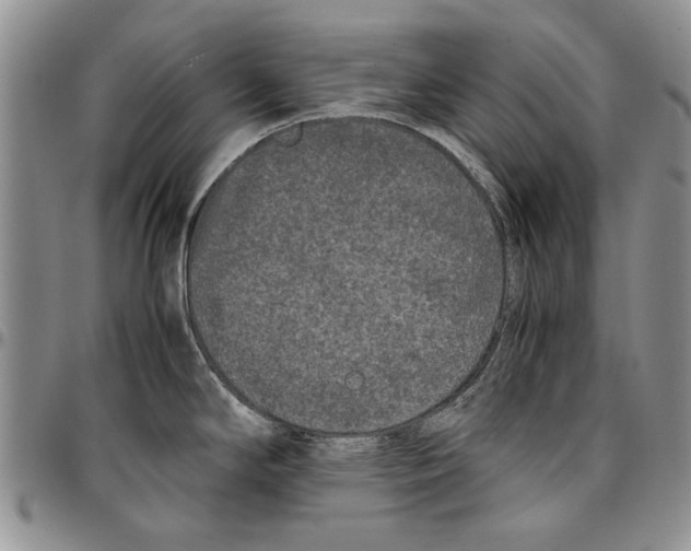 X0000096671294200803041213