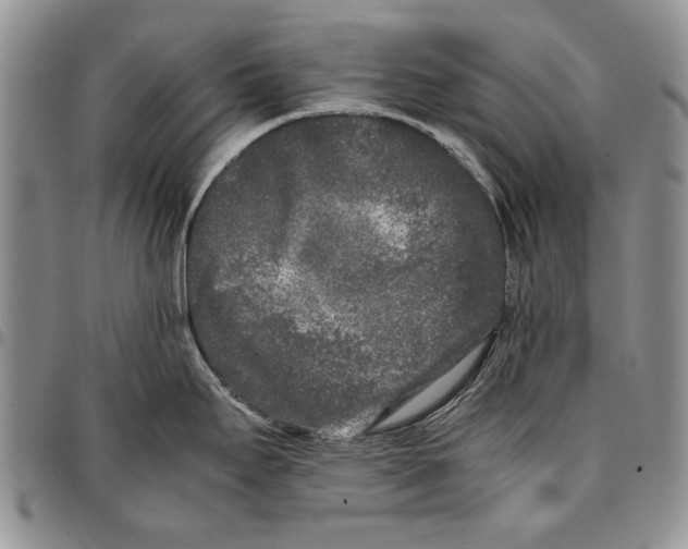 X0000096671295200803041213