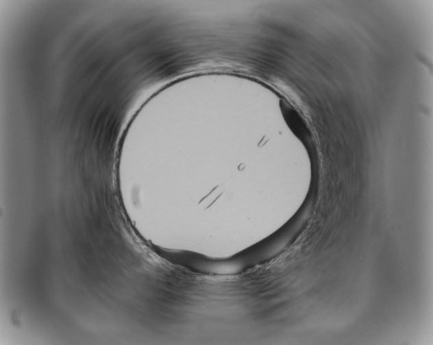 X0000096671296200803041213