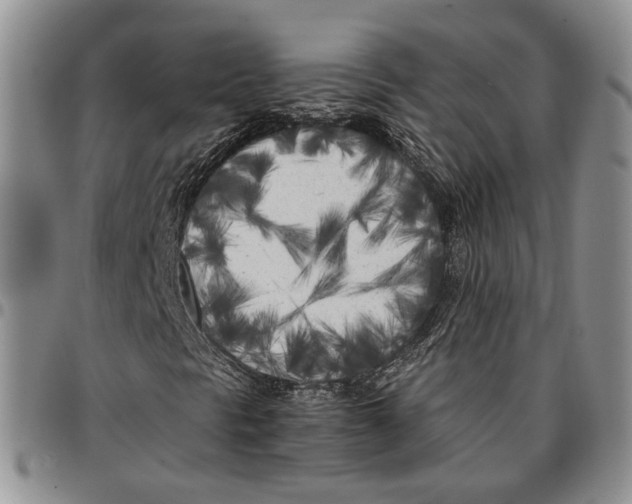 X0000096671297200803041213