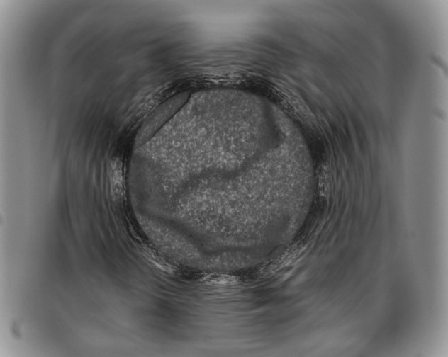 X0000096671298200803041213