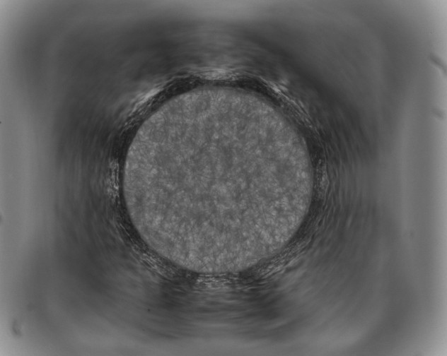 X0000096671301200803041213