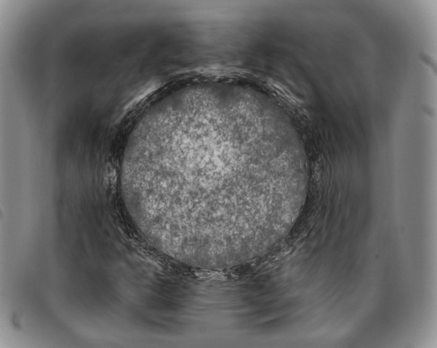 X0000096671302200803041213