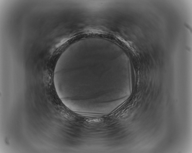 X0000096671303200803041213
