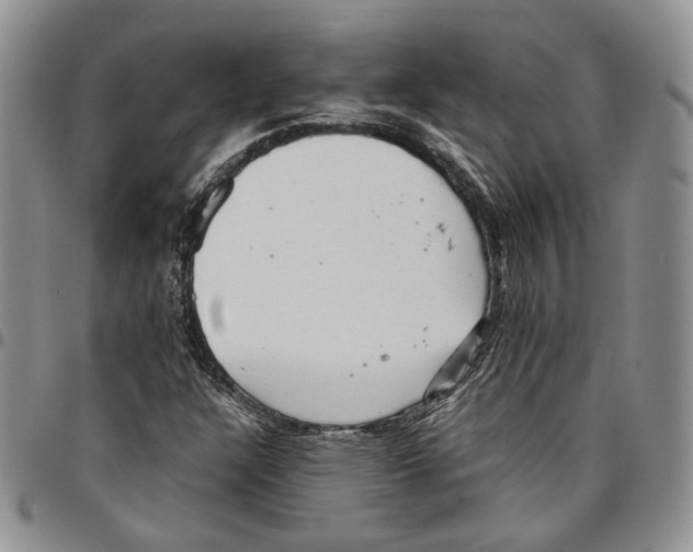 X0000096671304200803041213