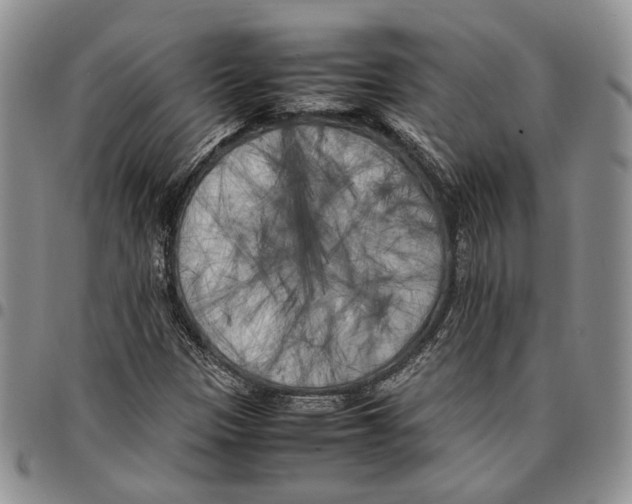 X0000096671305200803041213