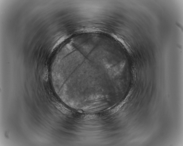 X0000096671306200803041213