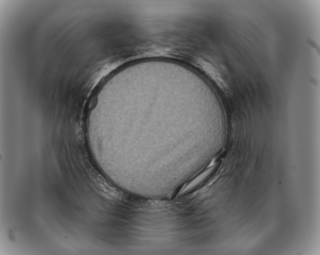 X0000096671308200803041213