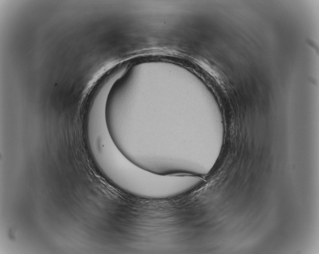 X0000096671310200803041213