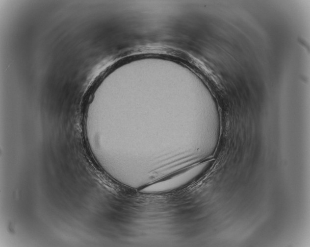 X0000096671312200803041213