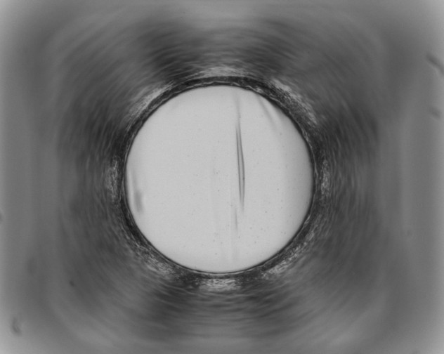 X0000096671313200803041213