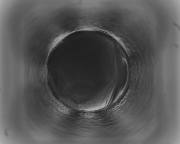 X0000096671319200803041213