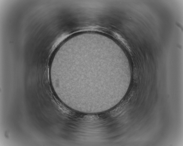 X0000096671320200803041213