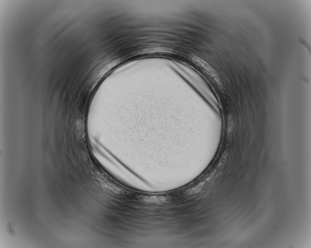 X0000096671321200803041213
