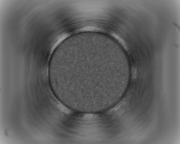 X0000096671322200803041213