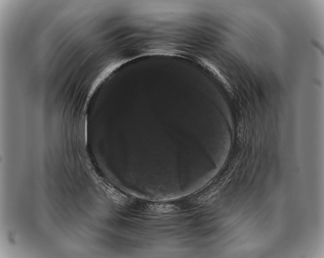 X0000096671323200803041213
