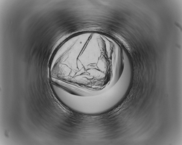 X0000096671324200803041213